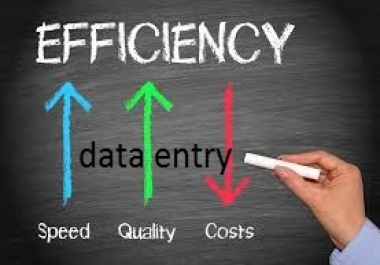 i do all sorts of data entry work with best quality and high performance