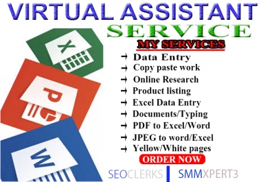 Xpert Data Entry And Web Research Work With Fast Delivery