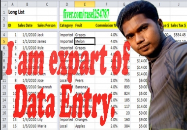 Do 250 Excel Rows Data Entry