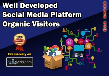 Drive 10,000 Well Developed Social Media Platform Organic Visitors Within 48 Hours