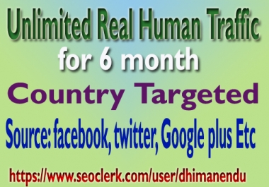 Unlimited Real Human Country Targeted Website TRAFFIC for 6 months
