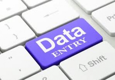 we do data entry wok for 5 per project
