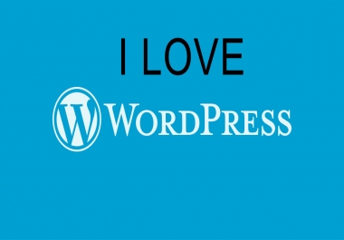 create a professional wordpress website for you