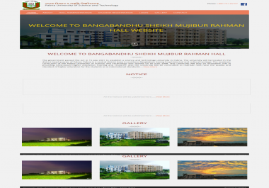 PSD to HTML or HTML responsive Website Design for yours site