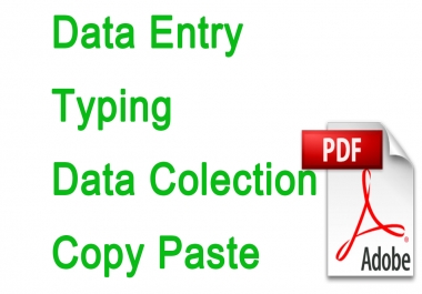 I'll do any kind of Data Entry, Data mining or typing work