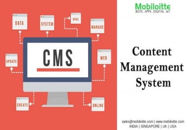CMS Development Services