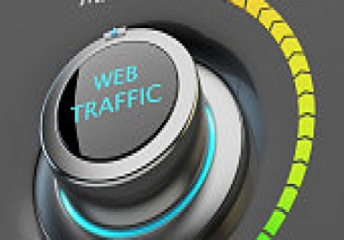 Targeted 20,000+ USA Website Traffic