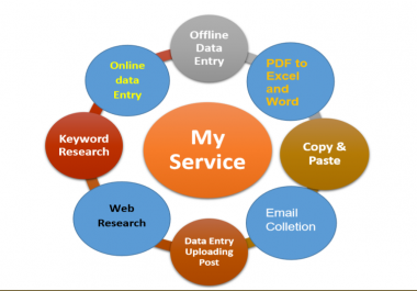 l Do Professionally Data Entry