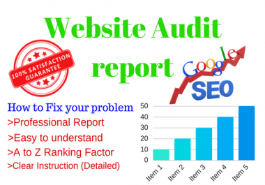 Do SEO friendly Website Audit and Provide a report with How to Fix those Errors