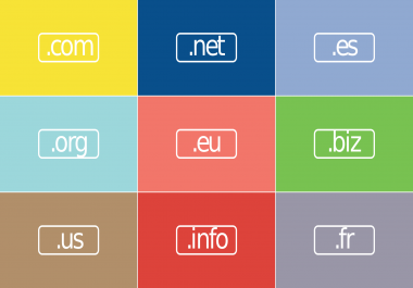 Best Domain Name for your niche