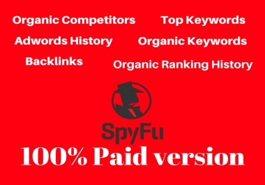 Do Detailed Spyfu PPC And Ad Campaigns Research