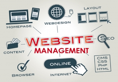Complete Website Management Service For You