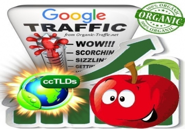 Quality Search Traffic from Google.com for 30 days