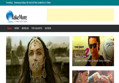 Design Adsense Niche Website