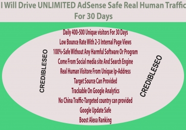 Drive UNLIMITED AdSense Safe Real Human Traffic For 30 Days