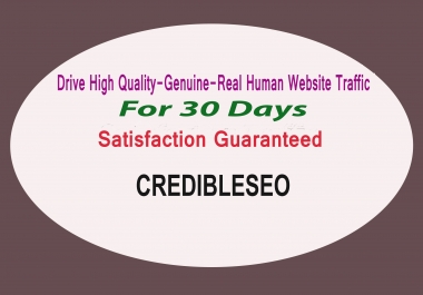 Provide High Quality, Genuine, Real Human Website Traffic Visitor For 30 Days