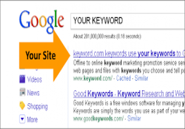 SKY ROCKET GOOGLE RANKING Rank 1 SEARCH ENGINE