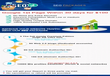 Google 1st Page Within 30 days