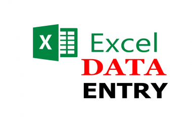 Do Any Kind of Excel data entry