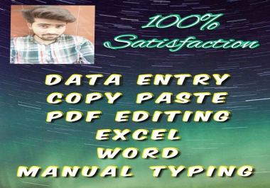 Do Data Entry,  Typing In Excel,  Word Prof,  PDF File Editing