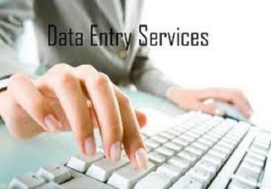 DATA ENTRY AND TRANCRIPTION WORK