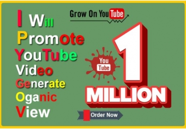 professionally promote you-tube video generate real traffic
