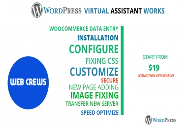 I will do 3 hours WordPress Professional virtual assistant for your business
