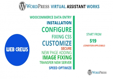 I will do 3 hours WordPress Professional virtual assistant for your business 