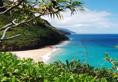 Logo Design and Web template design