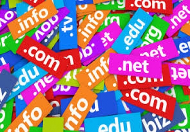 Domain Name registrations/ website name