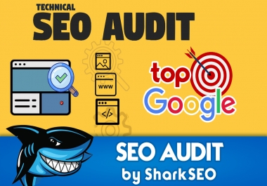 do manual site audit and promotion plan in google