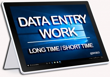 Provide 3-4 hour Data Entry work with 100 accuracy