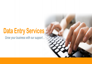 Data Entry,  Typing,  other typing bases services for with copy paste for