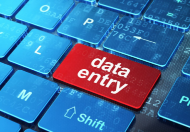 Do any type of data entry Job