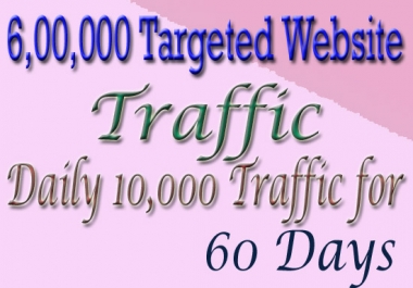 Drive 6, 00,000 Real Human Targeted Traffic To Your Website For 60 Days