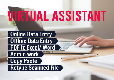 be your virtual assistant for web research,  data entry,  data mining,  excel