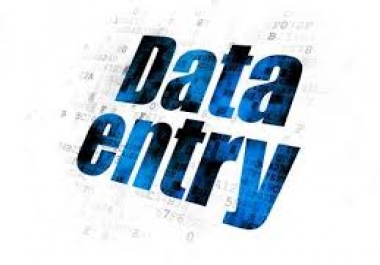 HI I CAN DO ANY DATA ENTRY WORK