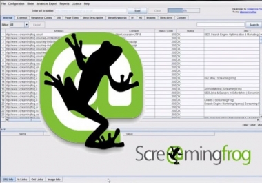 provide SEO reports utilizing screaming frog