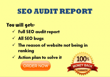 do professional seo audit and suggestion to improve it