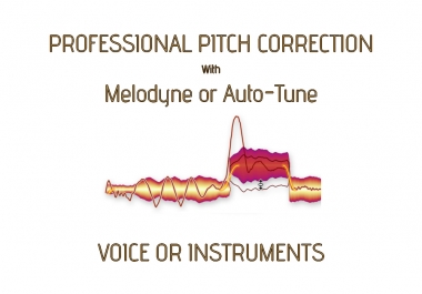 professional correct pitch voice or instrument manually