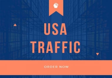 send 5000 real USA visitors for website traffic