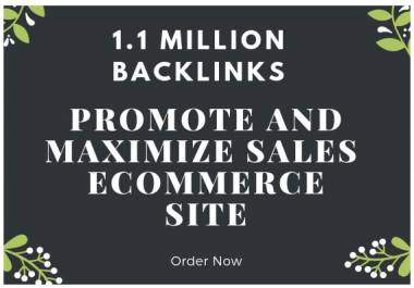 promote and maximize sales of your e commerce site