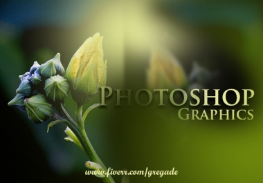 Any Photoshop Work And Add Graphics