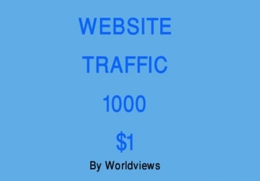 TARGETED Real Human Traffic/Visitors to your Website or Blog