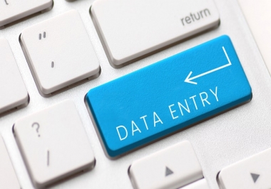 Data Entry Internet Research and data collection services per hr
