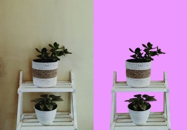 remove or change any Background in Photoshop from 20 images