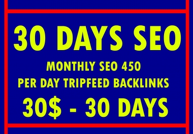30 Days SEO Pakages With 500 Manual Backlinks