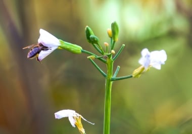 I will provide you with HQ pictures of almost every kind.