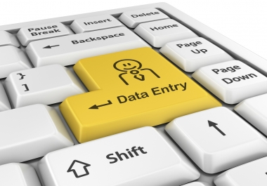 Data Entry Service Available - Fastest delivery Offered