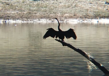 i am a link developer, i can develop your website link for over 500 places.